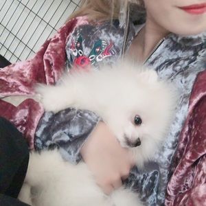 Meet your Posher, Sabrina